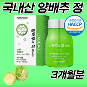 식약처 HACCP 인증 국내산 양배추알약 양배추 위 환 90 정 추출물 효소 프로스타글란딘 위건강 위에좋은 설포라판 비타민U K 칼륨 비타민유 케이 약 3개월분