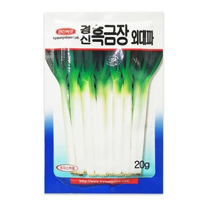 경신종묘 대파씨앗 흑금장외대파 20g, 1개