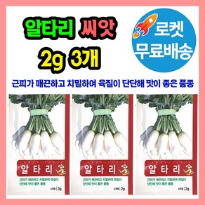 알타리무 씨앗 3개입, 1개