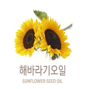 해바라기 오일 (Sunflowe Seed Oil)500ml, 1개, 500ml