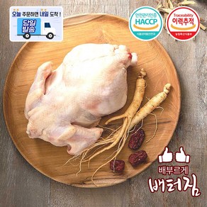 (당일출돼지)쫄깃한 식감 특대 노계닭 산란계 폐계닭 노계, 1.5kg, 5개