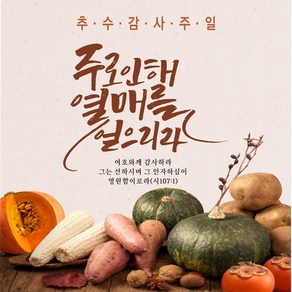 주영디자인 추수감사주일 현수막 -무료배송- 문구수정 가능 사이즈 변경가능 구김없는 포장&배송, 추수감사-7