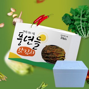 알싸하고 톡쏘는 맛있는 풍년들 갓김치 아이스박스