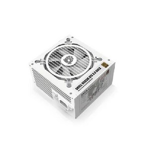 NEWZEN SKULL 850SM MODULAR ATX 3.0 80PLUS GOLD WHITE (PCIE5) 파워 (ATX/850W)