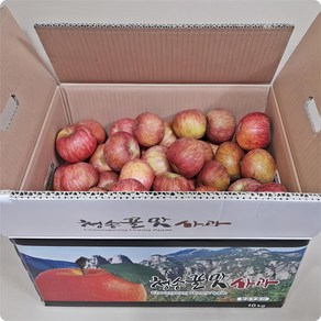 [산지직송]청송사과 부사 10kg 알뜰사과 (포장재포함10kg이상), 1박스, 01.알뜰흠집 10kg 소과 (45과~65과내외)