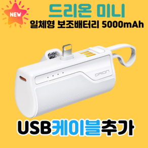 드리온 일체형 미니 보조배터리 5000mAh 아이폰 8핀 + 미니 선풍기, 드리온 일반 8핀