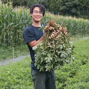 산지직송 국산 경남 창녕 피땅콩 흙땅콩 햇땅콩 껍질 생땅콩 삶은땅콩 1kg 2kg 3kg 견과류 국내산 조림 에어프라이어