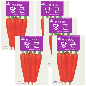 신흑전5촌 당근씨앗 당근씨 3000립, 5개