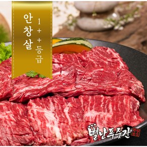 [농협안심한우] 투뿔(1++) 한우 안창살 400g  구이용, 1개