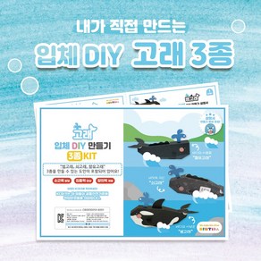 고래 입체 DIY 만들기 3종 KIT, 1세트