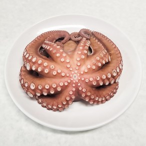 활 돌문어 국내산, 1세트, 1kg