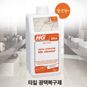 HG세제 타일광택복구제 원액 1L (17) 타일청소세정제 바닥재청소세제 shine estoing tile cleane, 1개