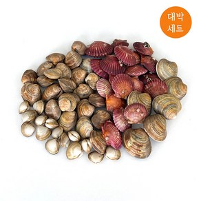 두팜 모듬조개 대박세트 2kg 1~2인분 내외