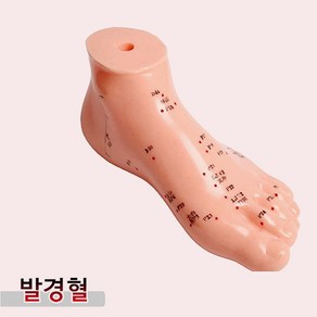 인체 발 경혈 모형(13cm) 인형 침자리 혈자리