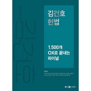 2023 김건호 헌법 1 500개 OX로 끝내는 파이널, 메가스터디교육(공무원)