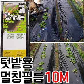 [조이가든] 텃밭용 멀칭필름-95cm x 10M (무공), 1개