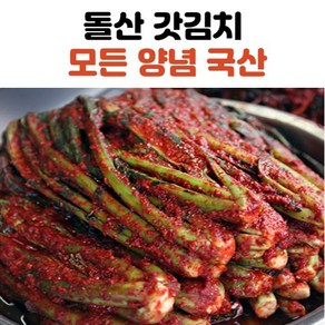 전라도 김치 갓김치 돌산갓김치 1kg 2kg 3kg