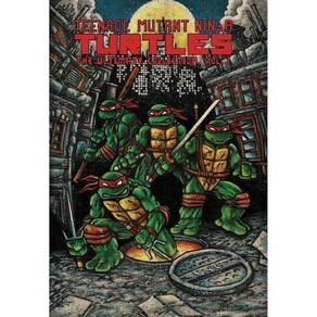 [북미판] 닌자 거북이 The Ultimate Collection Vol. 1 (TMNT Collection), [북미판] 닌자 거북이 The Ultimate Coll