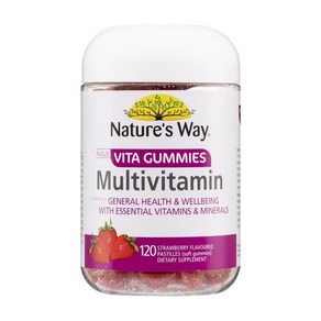 호주 네이처스 웨이 멀티비타민 딸기맛 구미 Natue's Way Adult Vita Gummies MultiVitamin, 100정, 1개