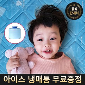 베러힐 아이스 냉수 냉감 쿨 매트 패드 그레이, 블루(싱글사이즈)