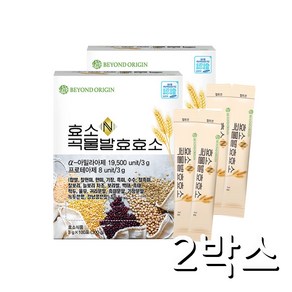 농협 효소N 곡물발효효소 100포(2박스), 300g, 2개