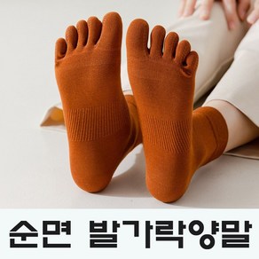 여성발가락양말 고급순면 고급컬러 고신축 발가락양말 5켤레세트