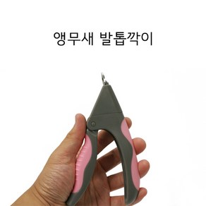 버드마마 앵무새 발톱깍이 / 중형조이상 / 색상랜덤, 1개