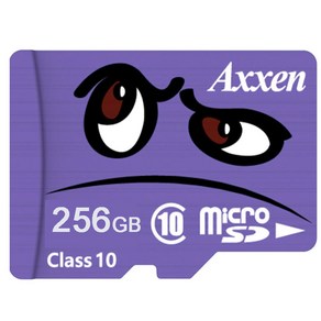 액센 256GB프리미엄 Class10 UHS-1 캐릭터 mico SD 카드, 1개, 256GB