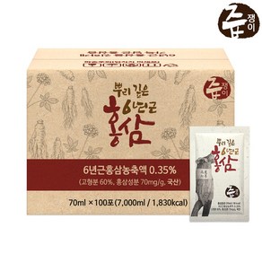 즙쟁이 6년근 홍삼즙 100포 실속구성, 70ml, 1개