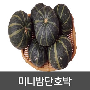 약수농장 미니밤호박 2kg 1박스 2kg, 1개