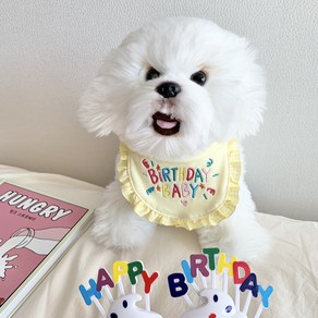 강아지 고양이 생일 파티 케이프 강아지빕 반려견 턱받이 생일케이프, JDF-04-벌스데이베이비턱받이-옐로우, 1개