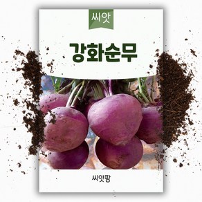 강화순무씨앗(1000립) 국내채종 무우 무 씨 종자, 1개