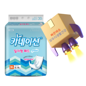 카네이션 속기저귀 일자고급형 30개입 성인기저귀, 30매입, FREE(onesize), 6개