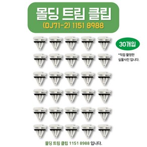 DJ71-2 11518988 몰딩트림클립 30개 고정핀 언더커버 고정클립 쉐보레 GM