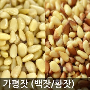 가평잣 최근탈각/백잣/황잣/국산잣, 황잣150g, 1개