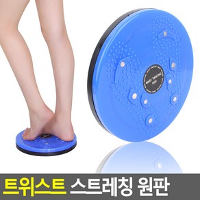 서켠상회 트위스트 스트레칭 원판