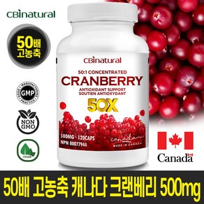 50배 고농축 캐나다 크랜베리 500mg 120캡슐 4개월 캐나다생산 본사직발송 캐나다식약청 GMP/NPN 인증