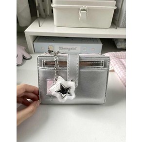 Silver Wallet Diary(2 color) 실버 월렛 다이어리 지갑 5공 바