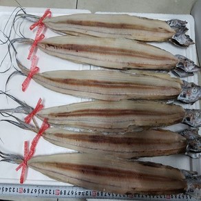 H 국내산 건갈치 1kg 풀치 9마리 건칼치 남해 건갈치 포항, 1박스, 1kg(9미)
