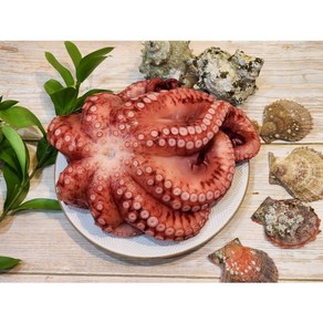 대왕 자숙문어 1.7kg (자숙 후 1.2kg 내외), 1개