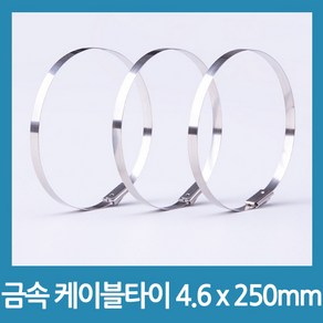 포에버 배관정리 스텐 케이블타이 4.6mm x 250mm, 10개