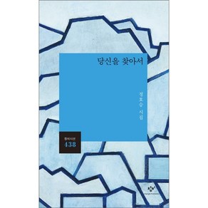 당신을 찾아서 : 정호승 시집 (창비시선 438), 창비