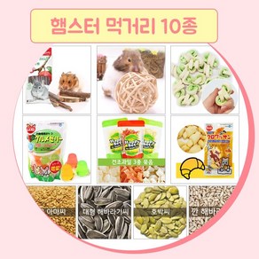 햄스터 먹거리 세트 10종 햄스터 간식 이갈이 영양제, 75g, 1개