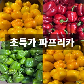 초특가 국내산 파프리카 가정용 못난이 5kg 노란 초록 빨간, 1개, 5kg (초록색)