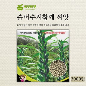 세계종묘 슈퍼 수지 참깨 씨앗 3000립, 1개