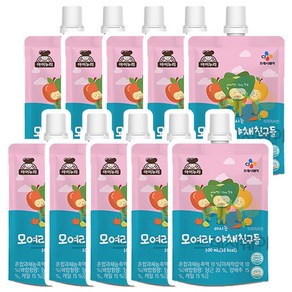 CJ 이츠웰 마시는 음료 시리즈 13가지맛 100ml x 10개