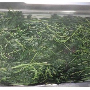 국내산 곤드레 400g(고형분200g) 1팩, 1개