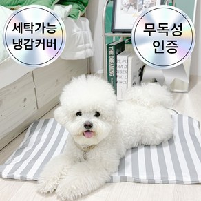 [세탁가능] 멍보스 냉감100% 강아지 애견 대형견 아이스 커버분리 쿨매트, 1개