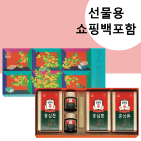 정관장 다보록 진심편 정성 (홍삼톤 20포 + 홍삼진고 100g x 2병) 선물용, 2개