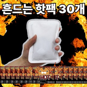 로수어 따뜻HOT팩 포켓 휴대용 흔드는 핫팩 48.9g (30개), 30개